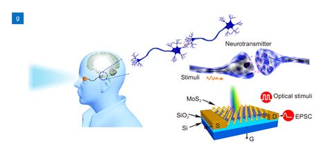 Pubcard Photonic Synapses With Ultralow Energy Consumption For