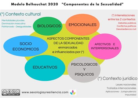 Modelo Belhouchat Componentes De La Sexualidad Sexología Y Resiliencia