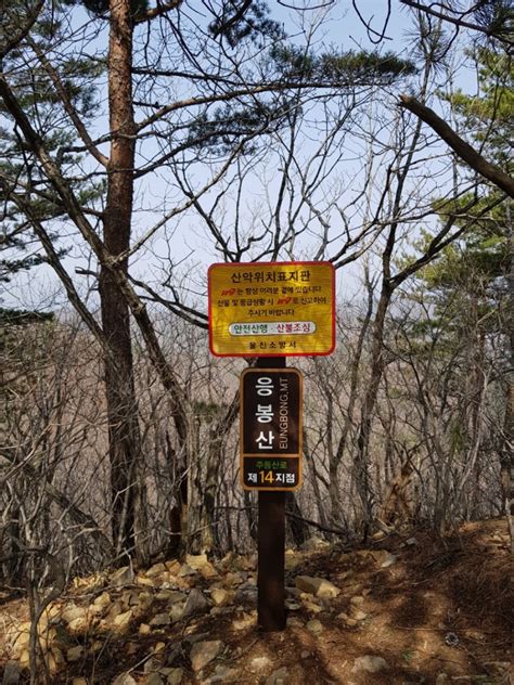 100대 명산 묵언수행72울진 응봉산鷹峯山 네이버 블로그