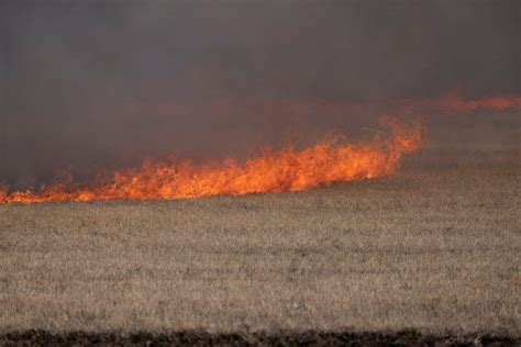 County Of Grande Prairie Fights Wildfire Over Night Grande Prairie Daily Herald Tribune