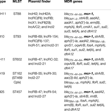 Features Of Mcr Positive E Coli Strains Include The Species