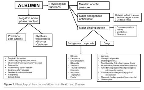 Albumin Administration In Sepsis The Case For And Against