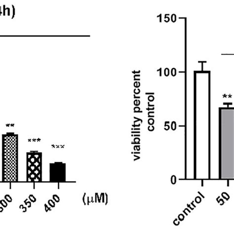 The Graphs Show The Cytotoxic Effect Of Silibinin On The Cell Viability