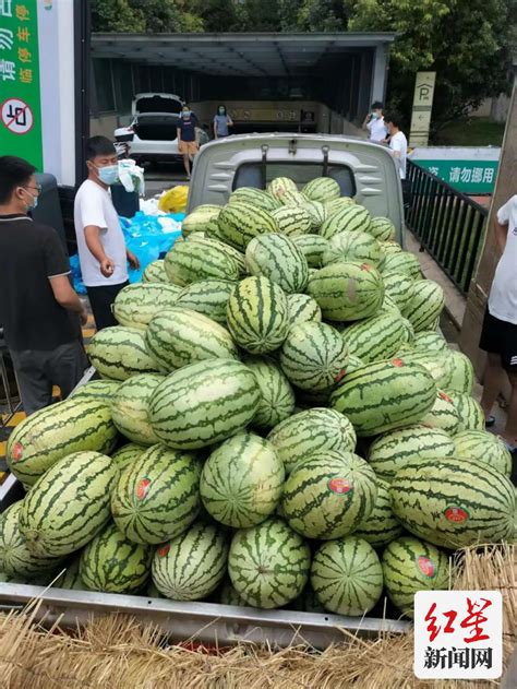 疫情下的“中国好邻居”！水果店主免费送居民1万多斤西瓜解暑 每经网