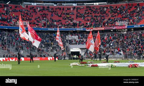 M Nchen Deutschland Januar Fahnen Auf Dem Rasen Der Arena