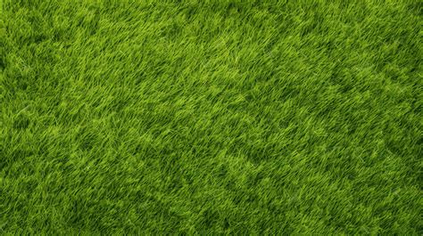 Lush Green Grass Texture A Perfect Background For Your Design