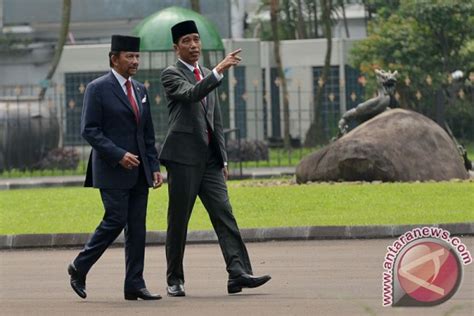 Presiden Jokowi Sultan Brunei Bahas Perdagangan Investasi Dan Tki