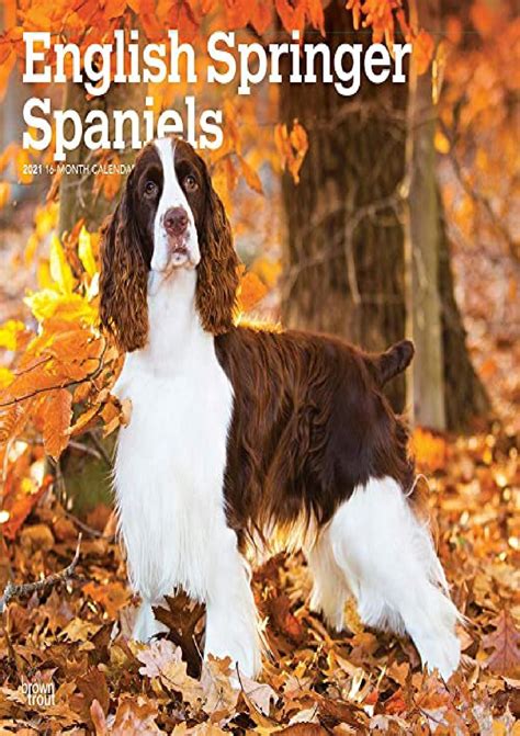 [pdf] English Springer Spaniels 2021 12 X 12 Inch Monthly Square Wall