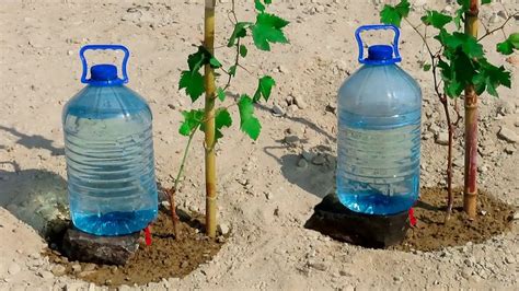 Sistema de riego por goteo con botellas de plástico POLISANTAFE