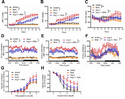 Figure 1 From Renal Denervation Attenuates Aldosterone Expression And