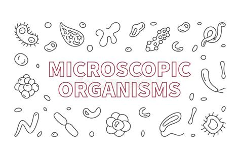 Microscopic Organisms Vector Microbiology Outline Round Banner