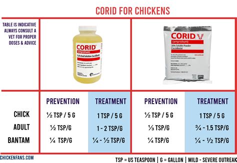 Corid For Chickens Dosage And Treatment Of Coccidiosis Chicken Fans