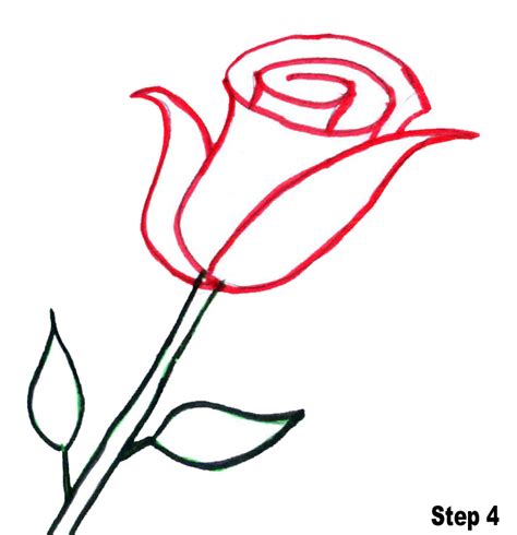 Free Simple Rose Drawings, Download Free Simple Rose Drawings png ...