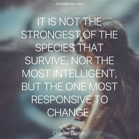 Quote Of The Day It Is Not The Strongest Of The Species That Survive