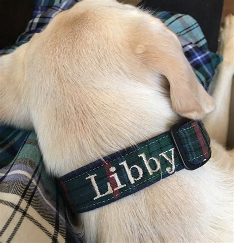 Monogrammed Dog Collar Personalized Dog Collar Monogrammed