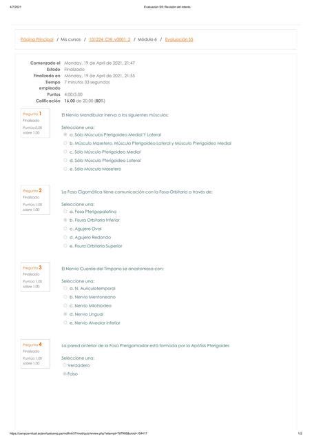 Evaluación S5 anatomia Tiroxina Med uDocz