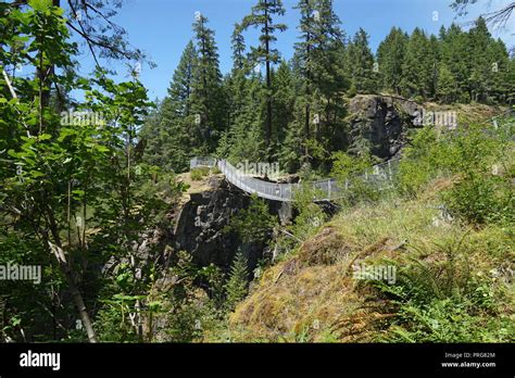 Elk Falls suspension bridge, Vancouver Island, Canada Stock Photo - Alamy