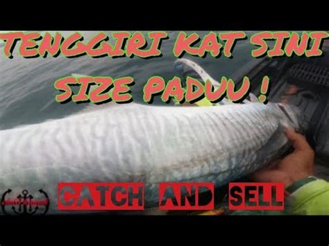 Baru Nak Makan Tenggiri Dulu Makan Catch And Sell Chilli Kayak