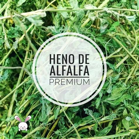 YA EN STOCK HENO De ALFALFA PREMIUM Riquisimo Fresco Super