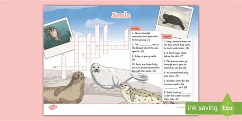 Seals Crossword Activity Ks L Enseignant A Fait