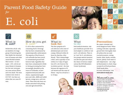 E Coli Prevention