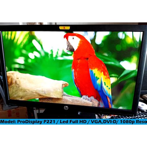 Hp Prodisplay P Inch Led Backlit Monitor With Vga And Power