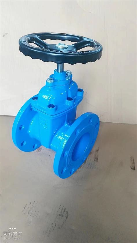 Water Valve Resilient Seat Soft Seal Flange Water Control Gate Valve With Manual Electric