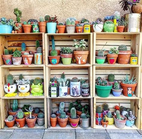 Pin On Jardin Potted Plants Outdoor Edible Garden Planting Succulents