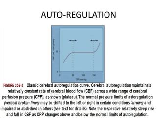 Autoregulation Of Cerebral Blood Flow Part 2 2 PPT