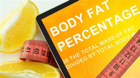 Understanding Body Composition Tests My Concierge Md