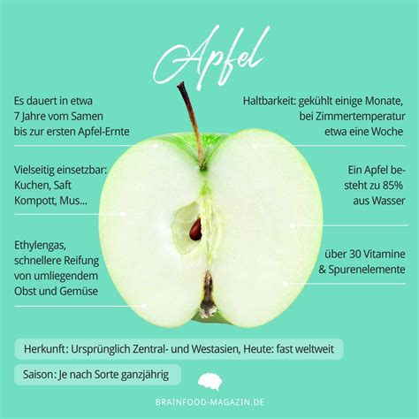 Food Fakten Apfel Brain Food Magazin Lebe Bewusst