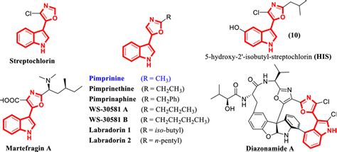 Chemical Structures Of 5 3 Indolyl Oxazole Natural Products Download Scientific Diagram