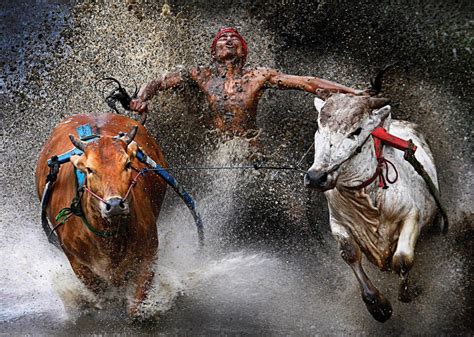 Photography Of Wei Seng Chen Photo Awards World Press World