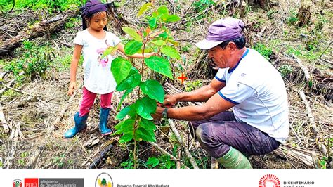 El PEAH en el distrito de Cholón provincia de Marañon Huanuco ejecuta