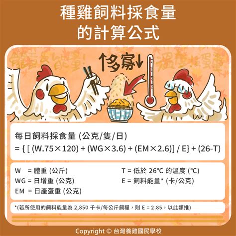 種雞｜167 種雞飼料採食量的計算公式 優雞可尋