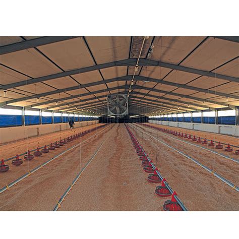 Poultry Chicken Farm Broiler Deep Litter System With Automatic Feeding