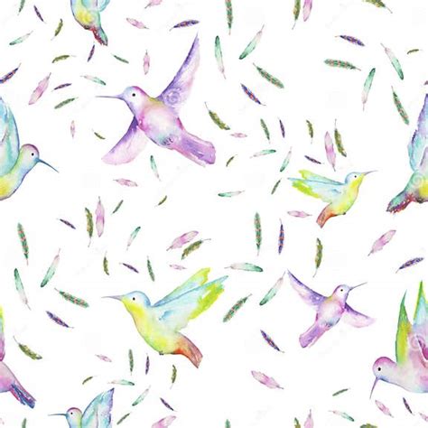 Seamless Pattern Of Watercolor Colibri And Feathers Stock Illustration