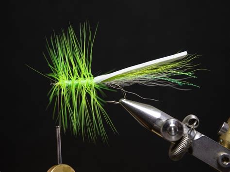 How To Tie A Gurgler Step By Step With Video Into Fly Fishing