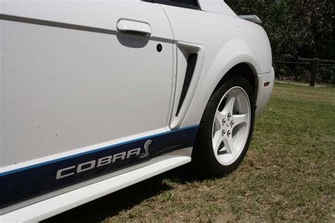 2023 MUSTANG ROUND UP HIGHLIGHT – 2001-2 COBRA - JUST CARS