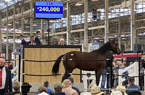 Record Sale Prices At Hoosier Classic Standardbred Canada