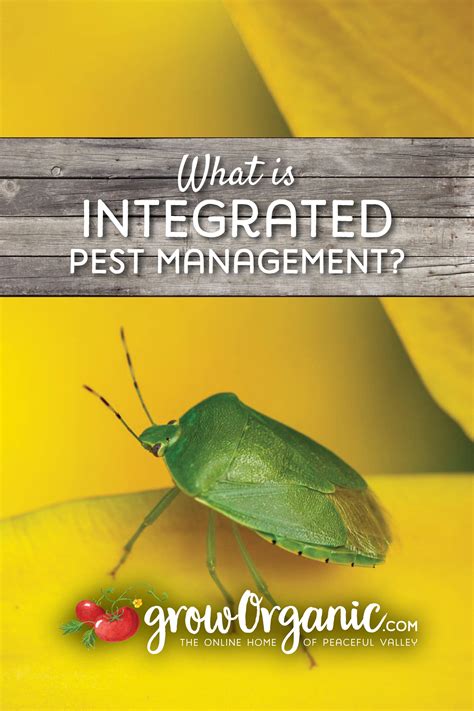 What Is Integrated Pest Management Ipm Artofit