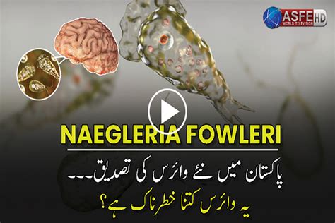 Confirmation Of New Virus Naegleria Fowleri In Pakistan Asfe World Tv