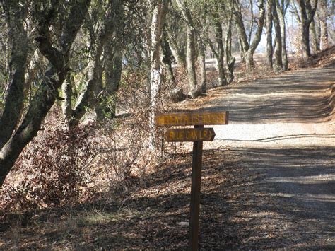 To Hike or Sit by the Pond?: Hidden Falls Regional Park, Auburn, California