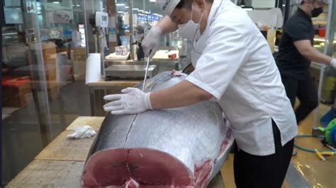 Giant Bluefin Tuna Cutting Luxurious Sashimi Youtube