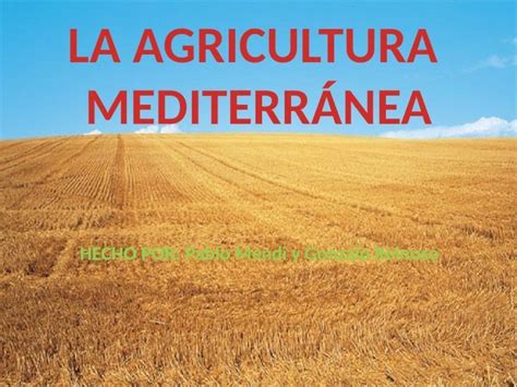 PPTX Agricultura mediterránea DOKUMEN TIPS