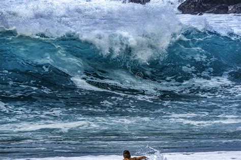 Surfer Paddling Out Wave Waimea Bay North Shore Oahu Hawaii Stock Image