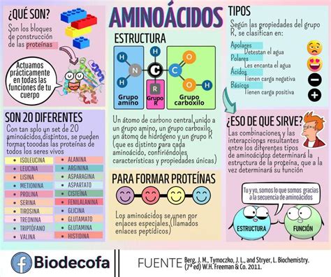 Aminoácidos YUDOC ORG uDocz