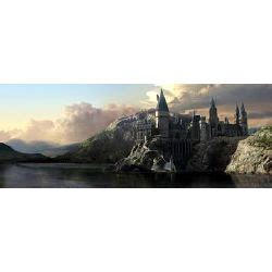 Hogwarts Life Long Results Quiz Quotev