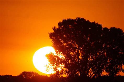 Comen A La Gran Remuntada De La Calor Adeu A La Fresca At Pica