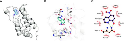 A Crystal Structure Of The First Bromodomain Of Brd4 In Complex With Download Scientific